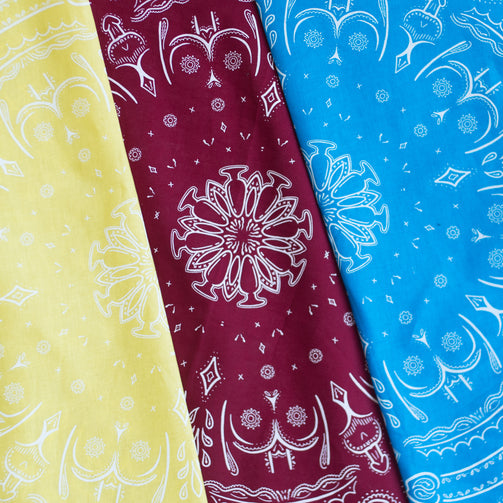 GAYPIN' HANKIES - GAYPIN'